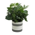 Adlmired By Nature Admired by Nature ABN5P024-NTRL Artificial Mixed Garden Foliage Plant with Striped Ceramic Pot - Green ABN5P024-NTRL